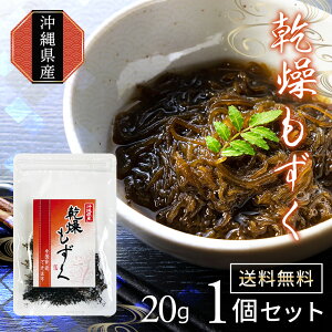 _20{ɑI^sv Y  20g X[v Ԃ Mtg 蕨  X`  | G  e A`GCWO GCWOPA _CGbg 