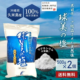 ＼桁違いのミネラル！ランキング1位！／ 送料無料 球美の塩500g2個 美味しい ミネラル豊富 天ぷら 塩麹 塩ラッキョウ もずく天ぷらにも最適 調味料 沖縄海水 粗塩 浅漬け 梅干し パスタ 魚介 肉料理 製パン おにぎり 和食 弁当 母の日 塩レモン 沖縄土産