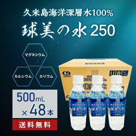 ミネラルウォーター 国産 硬水 送料無料 球美の水 硬度250・500ml48本 代謝に良いマグネシウムが豊富 海洋深層水 ミネラル 美容 健康 ダイエット 泡盛 焼酎 コーヒー お茶 シークワーサー水割り サプリのいいけど水も スポーツ 家飲み 沖縄料理 沖縄土産 沖縄離島 国際通り