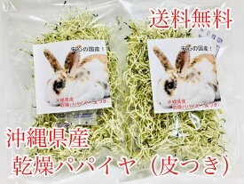 楽天市場 うさぎ 乾燥 パパイヤの通販 楽天市場 うさぎ 乾燥 パパイヤの通販
