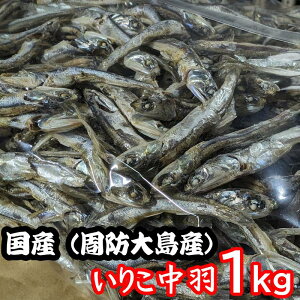 @ll Rʉ^  肱H1kgRh哇Y Y