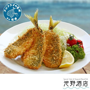 y40z茧YYⓀAWtC JtC(t) AWtC̐n ƖpmeʁnTHE TIME EIJcI