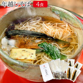 年越しそば 年越し蕎麦 にしんそば セット 年内発送 4人前 送料無料 信州そば ざるそば かけそば 信州 半生