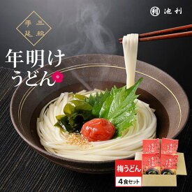 年明けうどん 4食 南高梅のうどん【うどん 饂飩 麺類 期間限定 個包装】【送料無料】