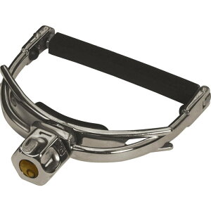 SHUBB F-1(GC-35) FINETUNE �V���u