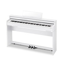 楽天市場】casio ap－450の通販