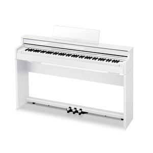 CASIO AP-S450WEySzݒuz(dqsAm)
