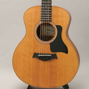 TAYLOR �y�����z GS Mini Sapele �e�C���[