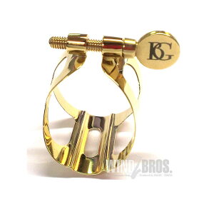 BG AgTbNXpK`[ r[W[ gfBV GL (L10)