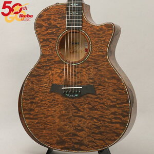 TAYLOR Custom GAce Hand Select All Quilt Maple (Transparent Dark Brown) yCPxyXn50NLO胂fz eC[