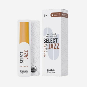 D'Addario Woodwinds (RICO) sdF3H)togTbNXp[h __IEEbhECY I[KjbNEZNgEWY At@ChJbgyH̃X[p[Z[z