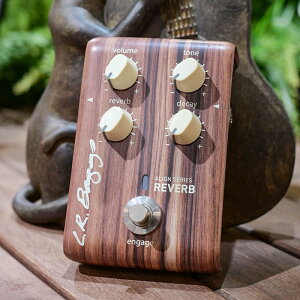 L.R.Baggs ALIGN Series Reverb