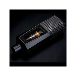 LEWITT LCT 840 (���[�C�b�g) �}�C�N���t�H��