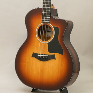 TAYLOR 214ce-Koa SB Plus �e�C���[