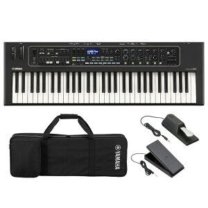 YAMAHA }n CK61+ ANZT[Zbg 61