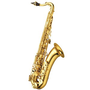 YANAGISAWA ei[TbNX iMT T-WO10 y&ZbgAbvoׁzy5NԃL[oXz