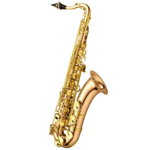 YANAGISAWA ei[TbNX iMT T-WO20 y&ZbgAbvoׁzy5NԃL[oXz