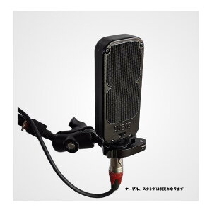 DrAlienSmith Alien8 - Figure 8 Dynamic Microphone(�G�C���A�� �G�C�g)(�_�C�i�~�b�N �}�C�N���t�H��)(�L�b�N�h���� �x�[�X�E�A���v ���R�[�f�B���O)