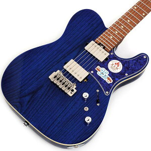 Bacchus Global Series TACTICS-24ASH/RSM (STB/BLUE PG) [Limited Model] yz