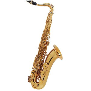 Selmer Paris テナーサックス セルマー Signature シグネチャー DARK SL(ダークシグネチャーラッカー) 【調整&セットアップ後出荷】【5年間キーバランス調整無料】【秋のスーパーセール】