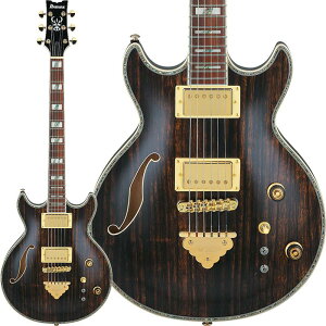 Ibanez �y1��30�����ח\��z AR520HME-NT (Natural)
