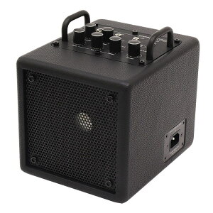 zB PJBiPhil Jones Bassj NANOBASS X4 (BLACK)