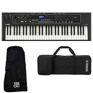 YAMAHA }n CK61+p\tgP[XZbg CJo[t 61