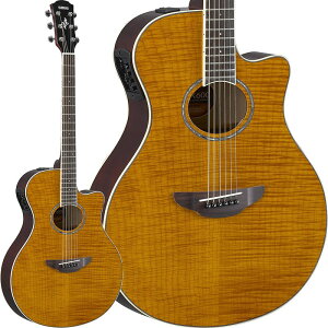 YAMAHA APX600FM (Amber) [SAPX600FMAM] }n