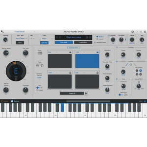 Antares AUTO-TUNE Pro 11 (����s��)(�I�����C���[�i)