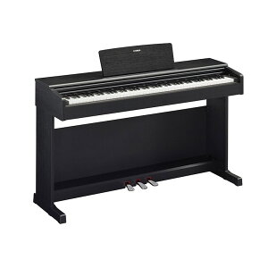 YAMAHA YDP-145 B(ubNEbhdグ)ARIUS(AEX)(񂹏i)(s)(S{zݒu݁AKiグEƁEꕔnʓrς)