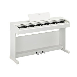 YAMAHA YDP-145 WH(zCgEbhdグ)ARIUS(AEX)(񂹏i)(s)(S{zݒu݁AKiグEƁEꕔnʓrς)