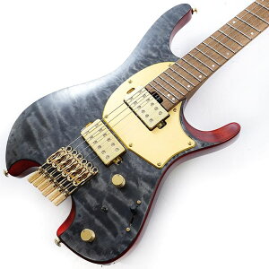 Ibanez MGFM10-OBL (Obsidian Black Low Gloss) [Manuel Gardner Fernandes Model]