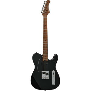 Bacchus Global Series TACTICS-STD/RSM (BLK)�y�����z
