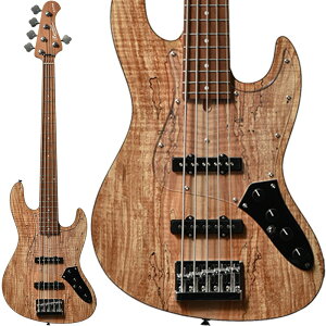 Bacchus Japan Tune-up series WL5-SPM-AC RSM/M (NAS) yfBoCU[EeNjJZ^[1NLy[z