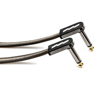 EBS PCF/HP-10 / 10cm [pb`P[u/nCptH[}XV[Y]