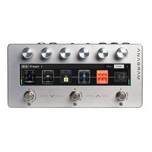 Darkglass Electronics y10ȍ~ח\A\tz Anagram