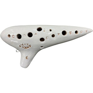 AP^IJ[i yCPxIWiEIJ[iuftzRV[Y RT-5C AgC Rlb^(RT-5C W SC)