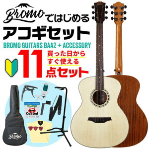 Bromo Guitars ySҁE11_Zbgz BAA2 u