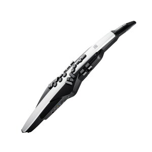 Roland Aerophone [AE-20]