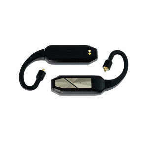 iFi audio GO pod (�A�C�t�@�C�I�[�f�B�I)(���C�����X�A�_�v�^�[)(���C�����X�C���z��)(���P�[�u��)(�n�C���])(Bluetooth)(IFI-GO-POD)
