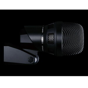 LEWITT DTP 340 REX (���[�C�b�g) �}�C�N���t�H��