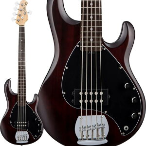 Sterling by MUSICMAN �y���ב҂��A���\���t���z S.U.B. Series Ray5 (Walnut Stain/Rosewood)