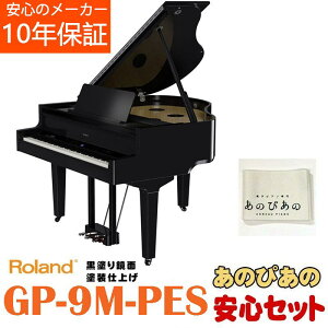 Roland �y����[������zGP-9M-PES�y10�N�ۏ؁z�y���ʌ��荋�ؓ��T�t���z�y�S���z���E�g���ݒu����(������E�����͏���)�z������s��(�d�q�s�A�m)