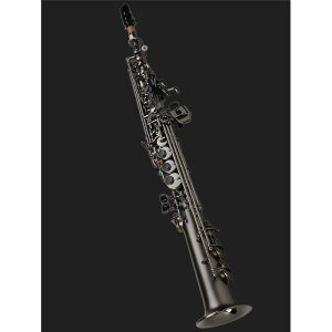 Cannonball y񂹏iz\vmTbNX Lm{[ S5-BiceB RAVEN iCuj y&ZbgAbvoׁzy5NԃL[oXz