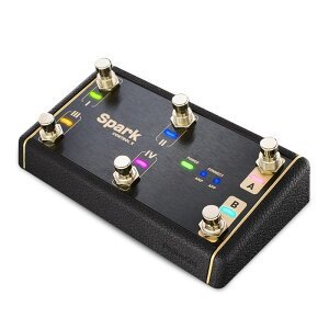 zB Positive Grid Spark Control X