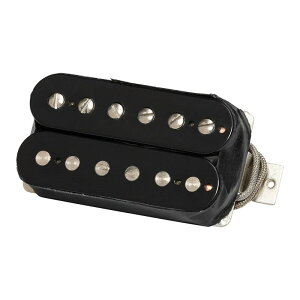 Gibson 70s Tribute (RhythmC Double BlackC 2-conductorC PottedC Alnico V) [Original Collection / PU70EVHRDB2]