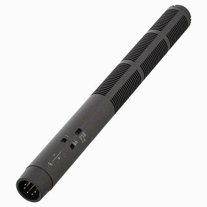 SENNHEISER MKH 8018 (XeIVbgK}CNz)([nCU[)