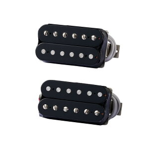 Gibson yňSALEz 496R/500T Set (Double BlackC 4-ConductorC PottedC CeramicC 496R: 8.4KC 500T: 15.2K)[PU496R500TDB4-SET]