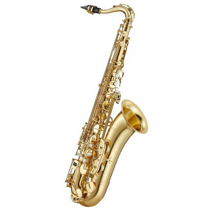 Antigua ei[TbNX AeBOA X^_[h GL TS3108 y&ZbgAbvoׁzy5NԃL[oXzyH̃X[p[Z[z