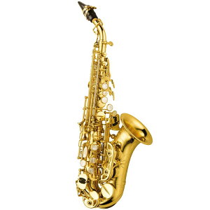 YANAGISAWA \vmTbNX iMT SC-WO10 y&ZbgAbvoׁzy5NԃL[oXz